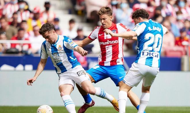 认为具备黑 认为具备黑